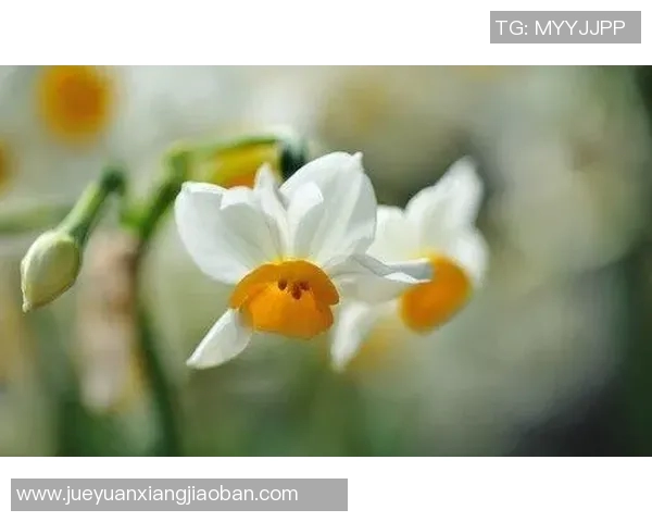 俞长栋：从平凡到卓越的奋斗历程与人生哲学探讨