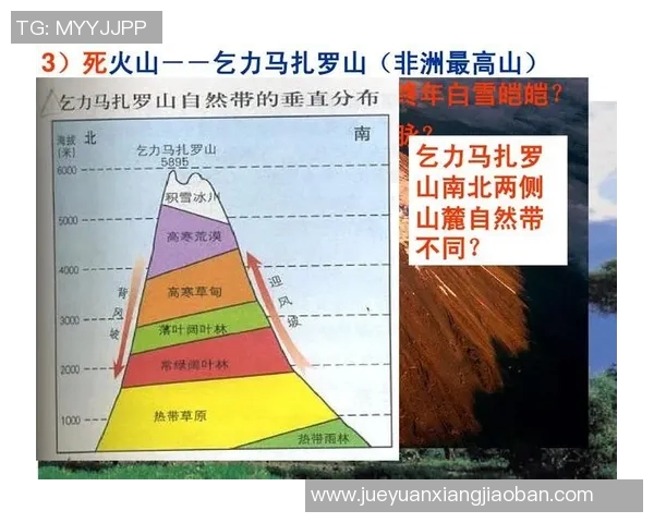 俄罗斯与埃及对决分析及胜负推荐策略分享