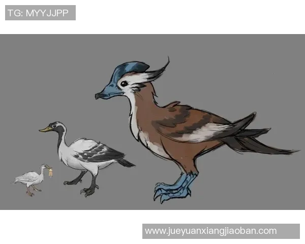 扣鸟与其背后含义的深度解析与探讨